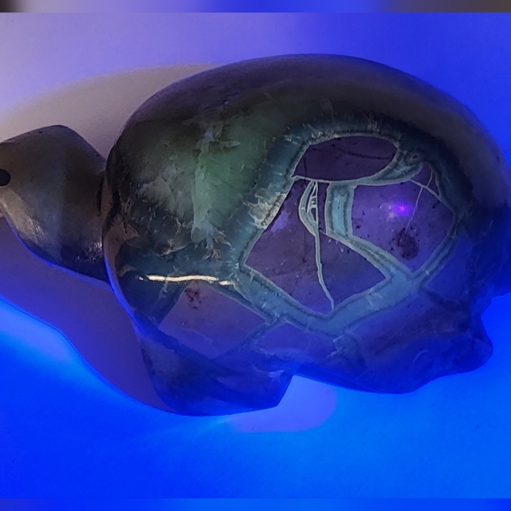 Septerian Carved Turtle.  4in X 2in. 502grams. UV Reactive - Picture 7 of 9